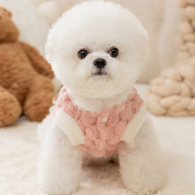 Hond Warme Jas Winter Hondenkl - Winter Clothing Kids recensie en prijs