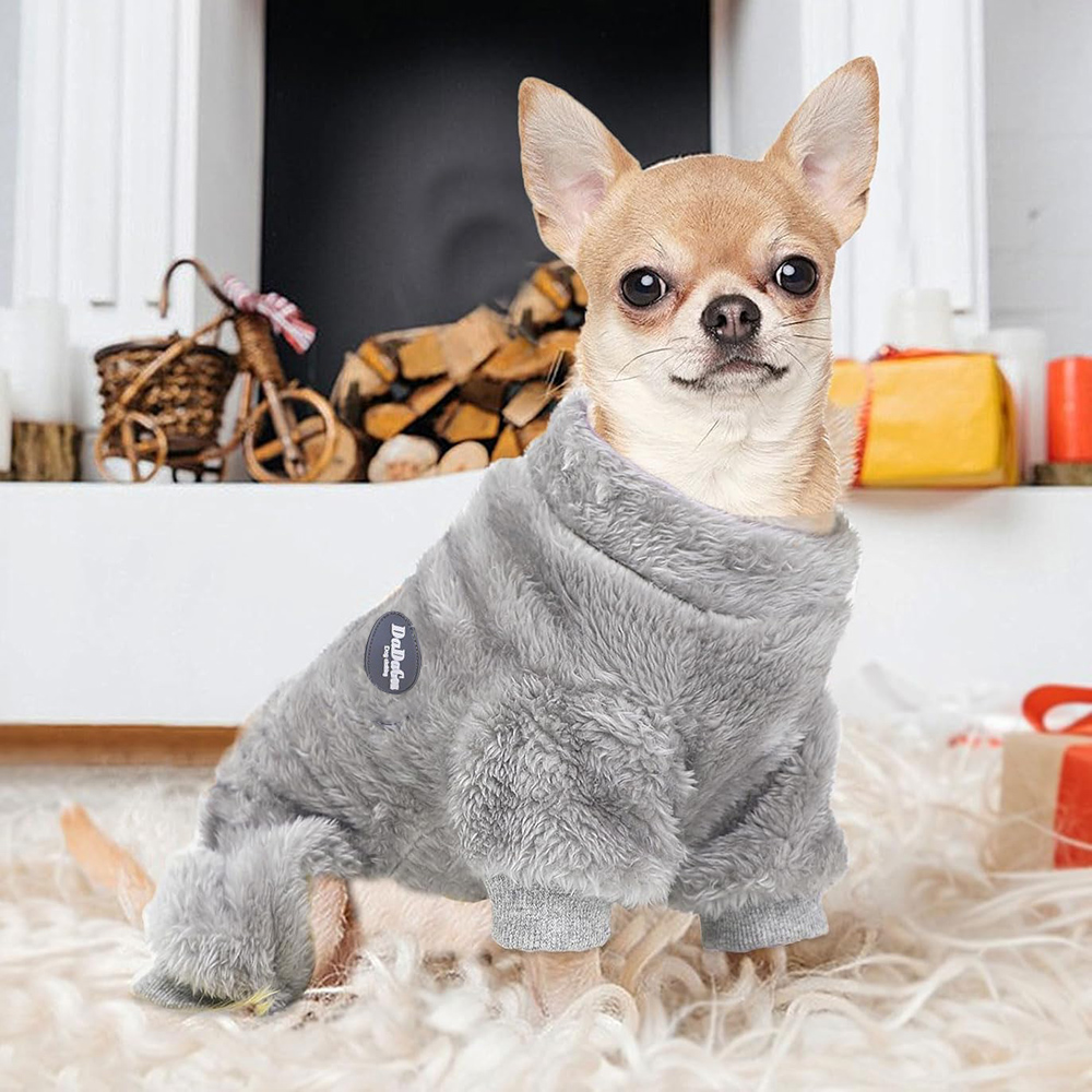Hondentruien voor kleine honde - Winter Clothing Kids recensie en prijs
