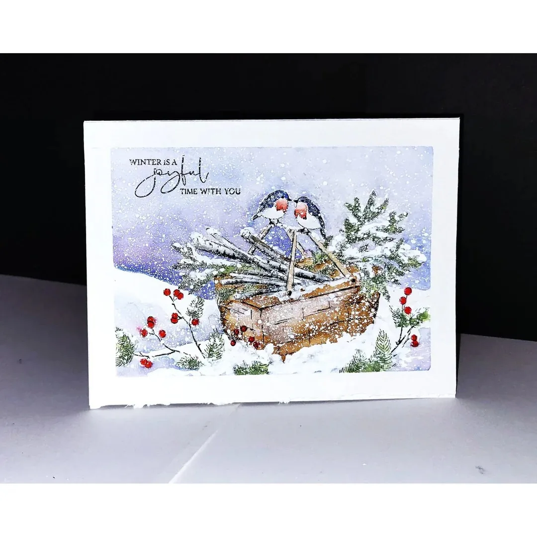 Kerst Sneeuw Frosted Grove Win - Winter Clothing Photo recensie en prijs